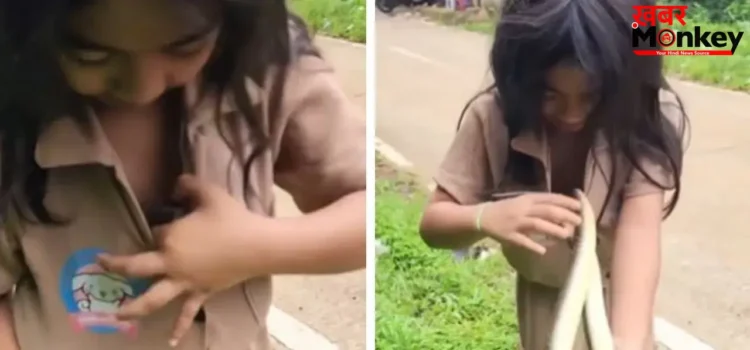 Viral Video: सांप के साथ खेलती दिखी नन्ही बच्ची, लोगों की थम गई सांसें