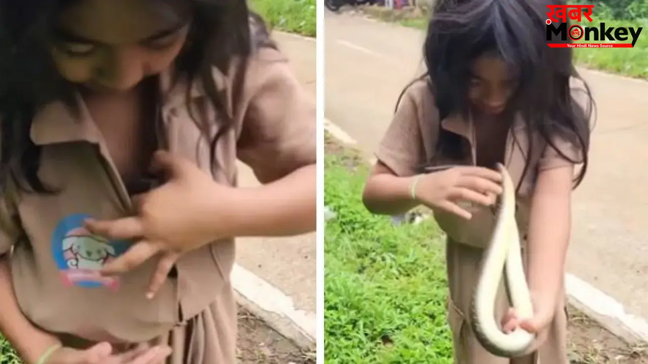 Viral Video: सांप के साथ खेलती दिखी नन्ही बच्ची, लोगों की थम गई सांसें