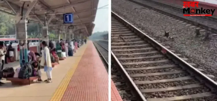 Viral Video: केरल का साफ-सुथरा रेलवे स्टेशन देख हैरान लोग, नहीं दिखी जरा भी गंदगी