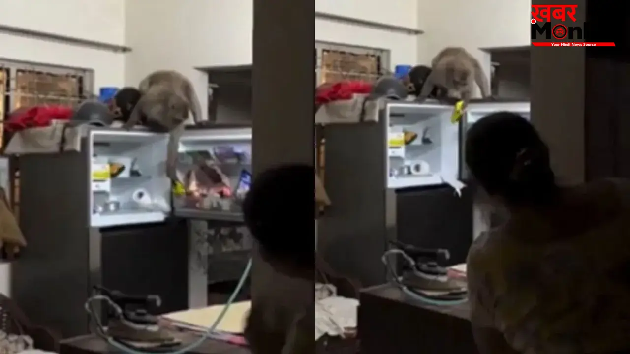 घर में घुसा बंदर, फ्रिज खोलकर बादाम लेकर भागा; वीडियो वायरल