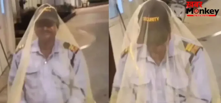 सेक्यूरिटी गार्ड Viral Video: मच्छरदानी के नीचे ड्यूटी करता गार्ड, वीडियो देख लोगों ने उठाए सवाल
