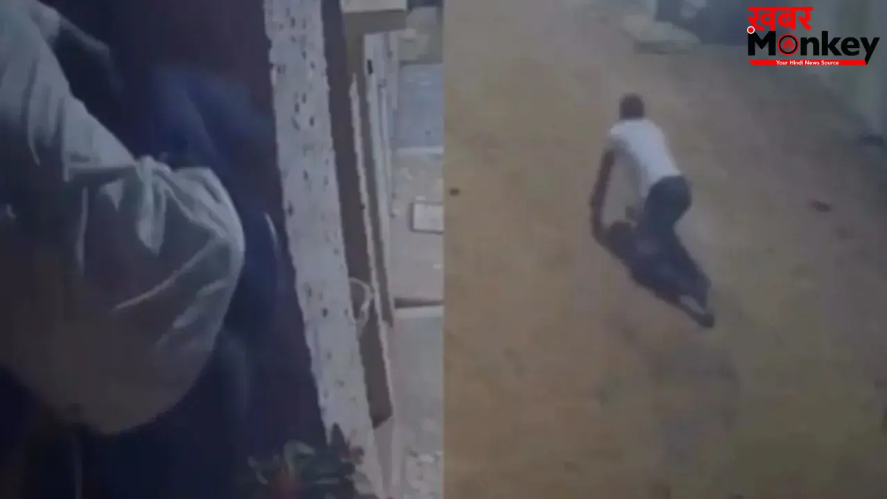 चोरी करने घुसा चोर, ऊपर चढ़ते ही धड़ाम से गिरे; CCTV वीडियो देख लोग बोले- अब नहीं करेगा दोबारा कोशिश
