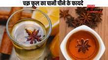 अमृत समान है चक्र फूल का पानी, इम्यूनिटी से लेकर रिंकल्स दूर करने तक में है रामबाण, जानें फायदे