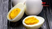 रोजाना 3 अंडे खाने से क्या होता है? डॉक्टर शुभम वत्स ने बताए इसके कमाल के फायदे