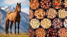 गर्मियों में खाएं ये ड्राई फ्रूट्स, दिन भर शरीर में बनी रहेगी घोड़े जैसी एनर्जी