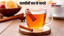 डायबिटीज के मरीजों के लिए किसी जड़ी बूटी से कम नहीं दालचीनी की चाय, जान लें इसके फायदे और पीना का सही तरीका