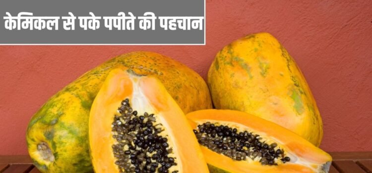 Adulteration in Papaya: केमिकल से पके हुए पपीते की कैसे करें पहचान? ये तरीके आएंगे काम