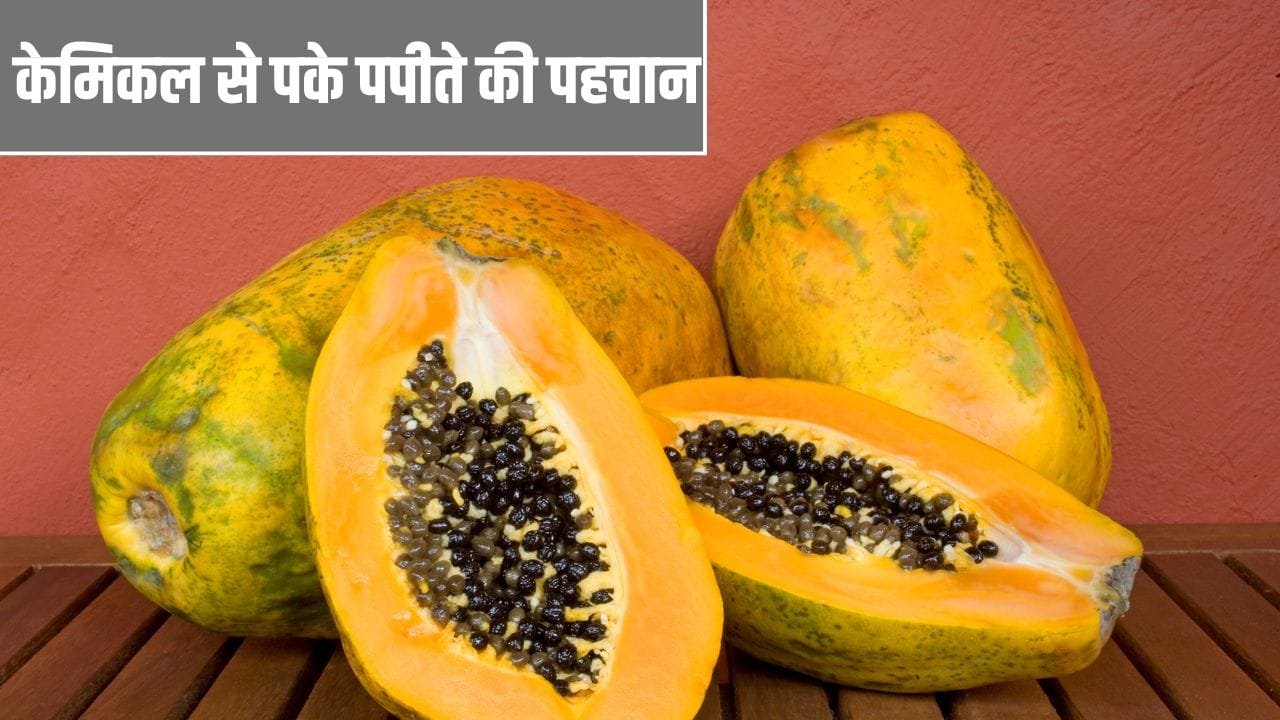 Adulteration in Papaya: केमिकल से पके हुए पपीते की कैसे करें पहचान? ये तरीके आएंगे काम