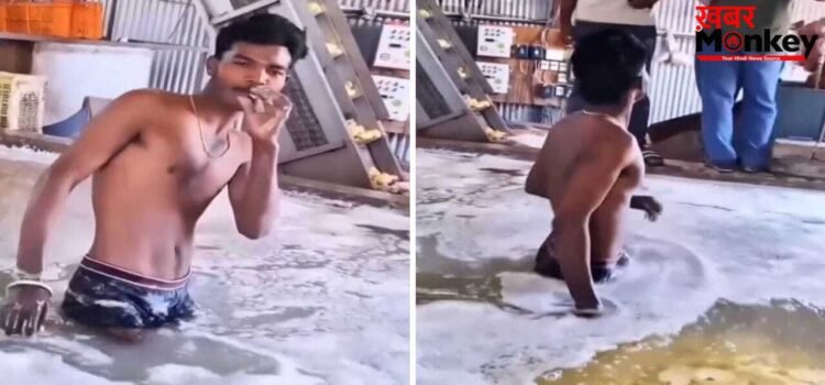 Viral Video: फैक्ट्री में कैसे बनते हैं आलू चिप्स, देख लेंगे तो खाना भूल जाएंगे!