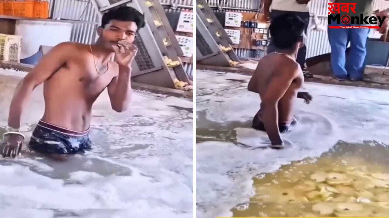 Viral Video: फैक्ट्री में कैसे बनते हैं आलू चिप्स, देख लेंगे तो खाना भूल जाएंगे!