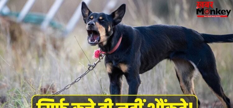 5 ऐसे जीव, जो निकालते हैं कुत्तों जैसी आवाज, लिस्ट देखकर चौंक जाएंगे आप!