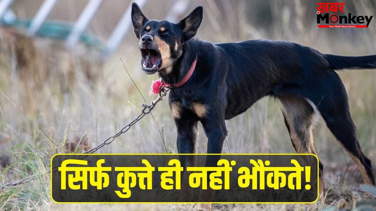 5 ऐसे जीव, जो निकालते हैं कुत्तों जैसी आवाज, लिस्ट देखकर चौंक जाएंगे आप!