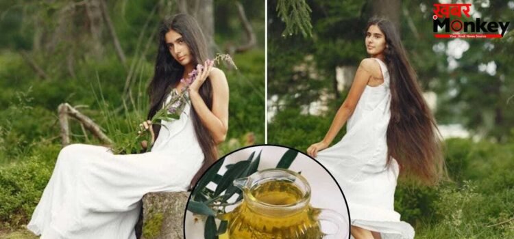 कमर से नीचे लटकेगी मोटी-चोटी, इन आयुर्वेदिक चीजों को मिलाकर बना लें तेल