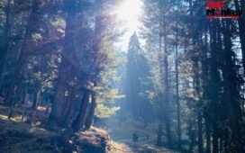 Baisaran Ghati: जन्नत से कम नहीं पहलगाम की बैसरन घाटी, एक-एक तस्वीर में देखें खूबसूरती