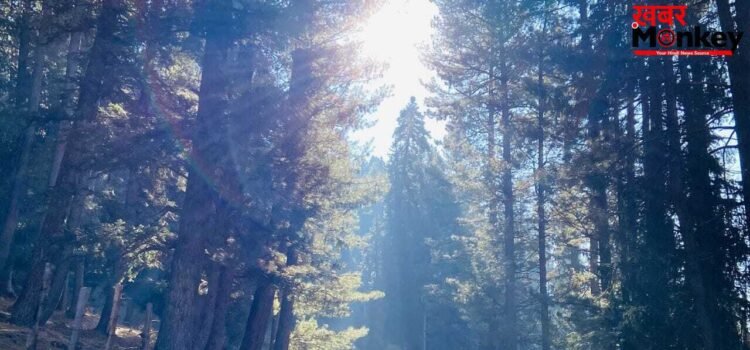 Baisaran Ghati: जन्नत से कम नहीं पहलगाम की बैसरन घाटी, एक-एक तस्वीर में देखें खूबसूरती