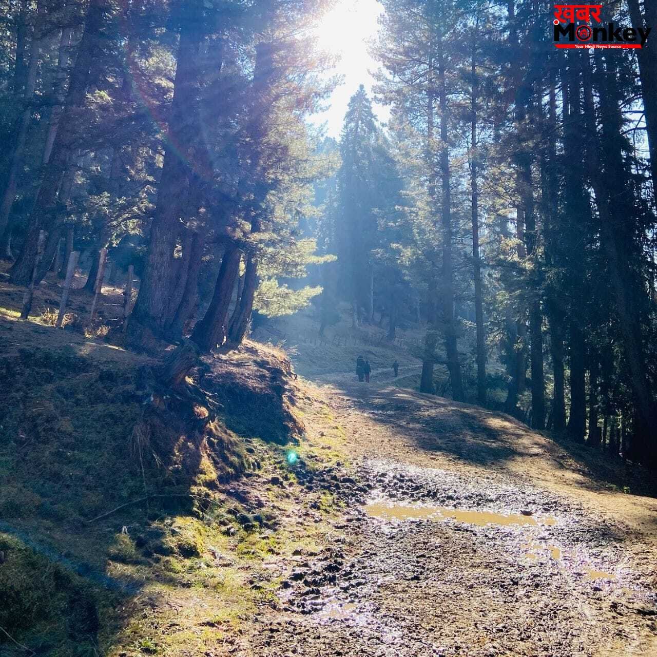 Baisaran Ghati: जन्नत से कम नहीं पहलगाम की बैसरन घाटी, एक-एक तस्वीर में देखें खूबसूरती