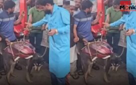 Viral: कुत्ते पर टैंक रखकर पेट्रोल पंप पर पहुंचा शख्स, VIDEO देख कंट्रोल नहीं होगी आपकी हंसी