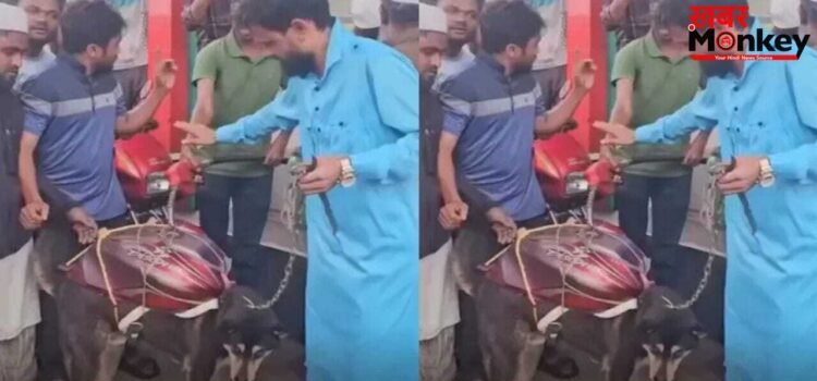 Viral: कुत्ते पर टैंक रखकर पेट्रोल पंप पर पहुंचा शख्स, VIDEO देख कंट्रोल नहीं होगी आपकी हंसी Viral: कुत्ते पर टैंक रखकर पेट्रोल पंप पर पहुंचा शख्स, VIDEO देख कंट्रोल नहीं होगी आपकी हंसी