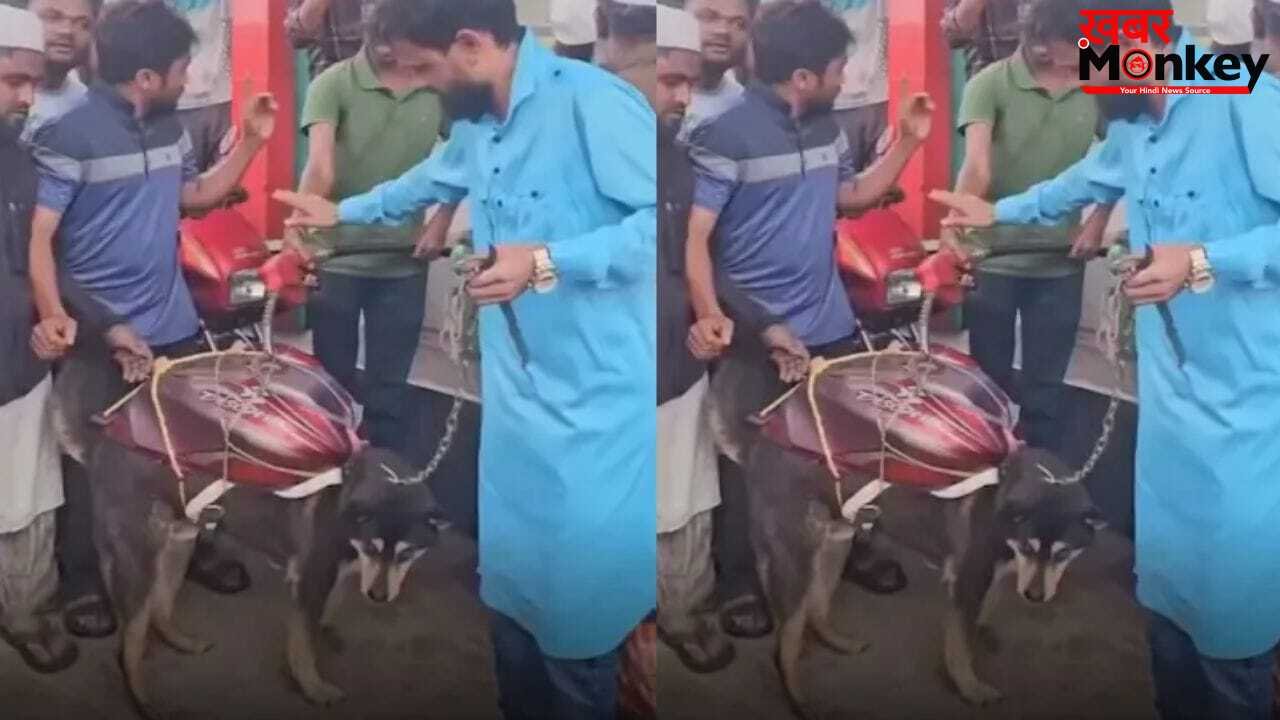 Viral: कुत्ते पर टैंक रखकर पेट्रोल पंप पर पहुंचा शख्स, VIDEO देख कंट्रोल नहीं होगी आपकी हंसी