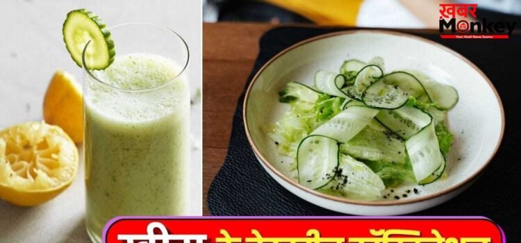 गर्मी में खीरा नहीं है वरदान से कम..इसे इन 5 चीजों के साथ खाएं, मिलता है रिफ्रेशिंग टेस्ट