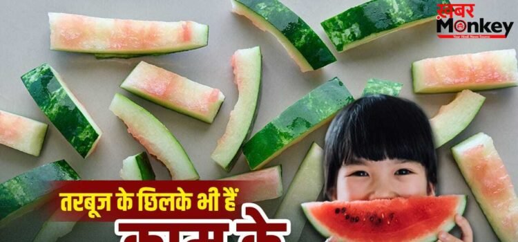 Watermelon Peel reuse: बेकार समझकर फेंक देते हैं तरबूज के छिलके, ऐसे आ सकते हैं काम