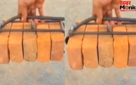 Viral Video: मजदूर ने ईंटों को उठाने के लिए अपनाई ये टेक्निक, तरीका देख पक्का तारीफ करेंगे आप