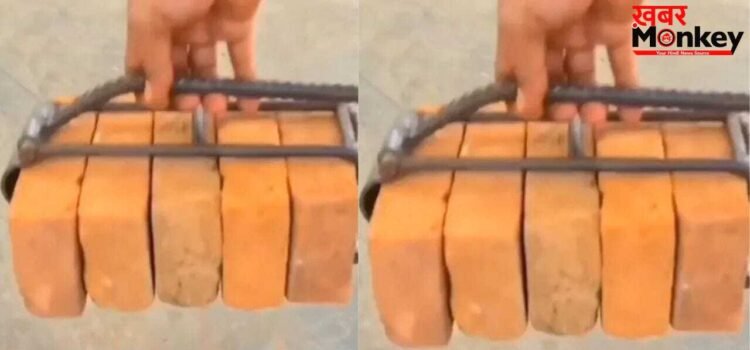 Viral Video: मजदूर ने ईंटों को उठाने के लिए अपनाई ये टेक्निक, तरीका देख पक्का तारीफ करेंगे आप Viral Video: मजदूर ने ईंटों को उठाने के लिए अपनाई ये टेक्निक, तरीका देख पक्का तारीफ करेंगे आप