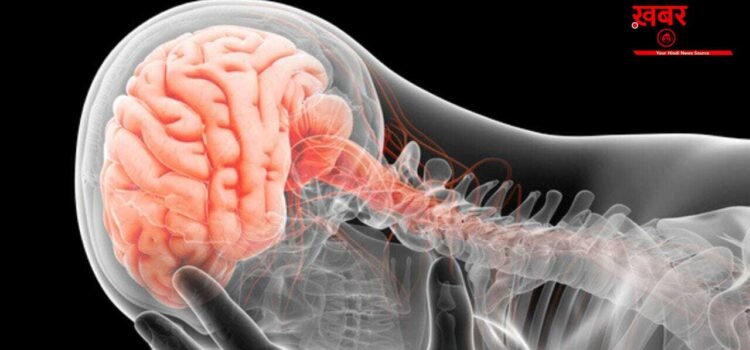 क्या सर्वाइकल का दर्द दिमाग को भी करता है नुकसान? कौन से लक्षण खतरनाक