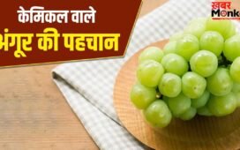 कहीं आप भी तो नहीं खा रहे केमिकल वाले अंगूर, एक्सपर्ट से जानें पहचानने का तरीका