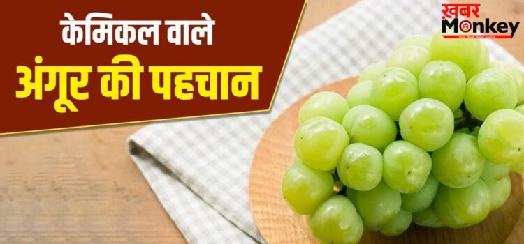 कहीं आप भी तो नहीं खा रहे केमिकल वाले अंगूर, एक्सपर्ट से जानें पहचानने का तरीका