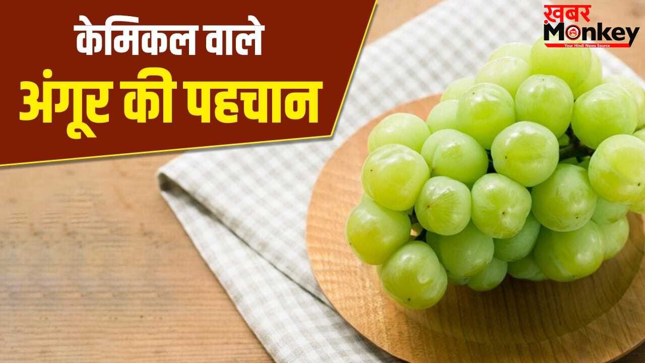 कहीं आप भी तो नहीं खा रहे केमिकल वाले अंगूर, एक्सपर्ट से जानें पहचानने का तरीका