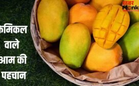 कहीं आप भी तो नहीं खा रहे केमिकल वाला आम? इन तरीकों से करें पहचान