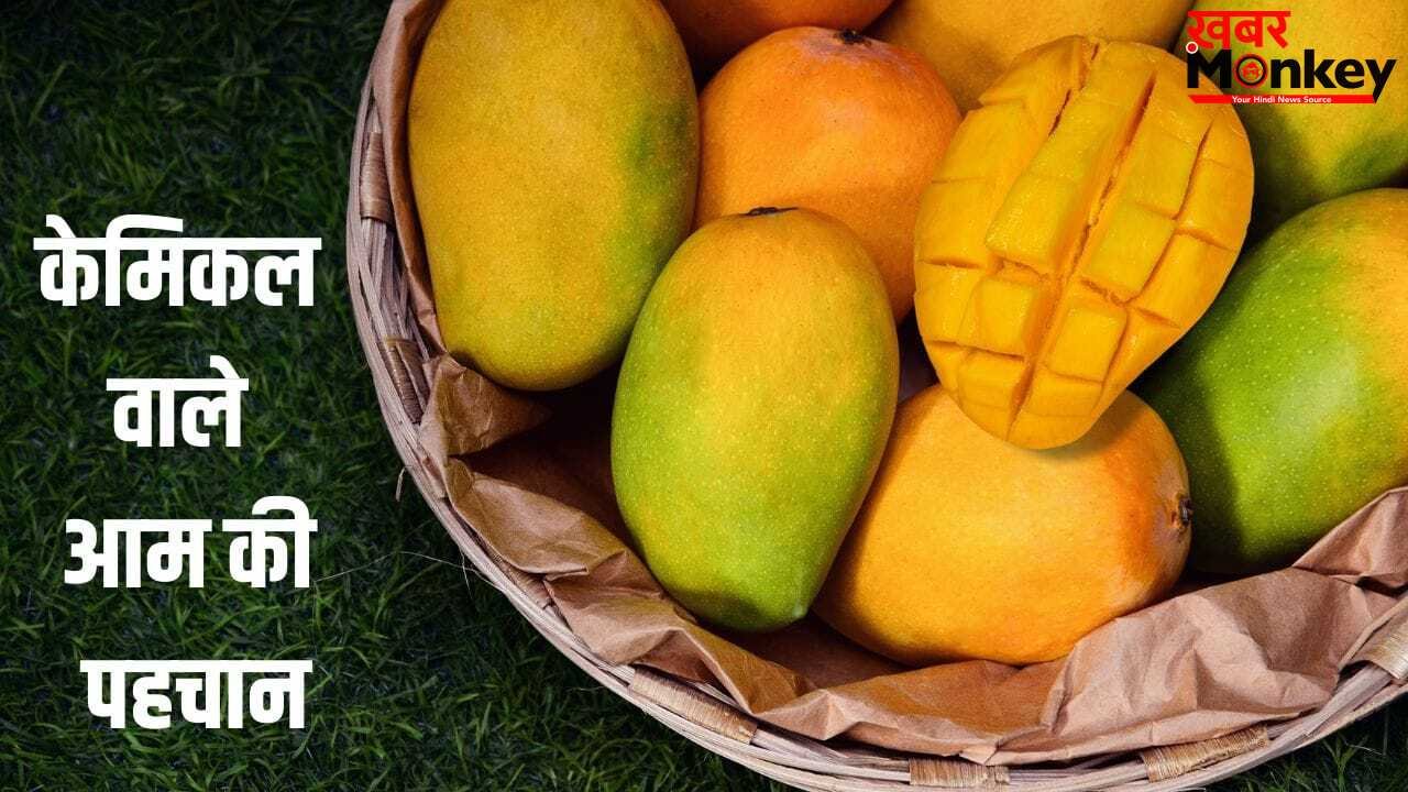 कहीं आप भी तो नहीं खा रहे केमिकल वाला आम? इन तरीकों से करें पहचान