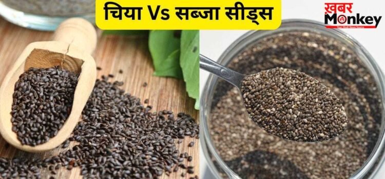 Chia Vs Sabja Seeds: सब्जा और चिया सीड्स में क्या है अंतर? एक्सपर्ट से जानें आपके लिए क्या है सही