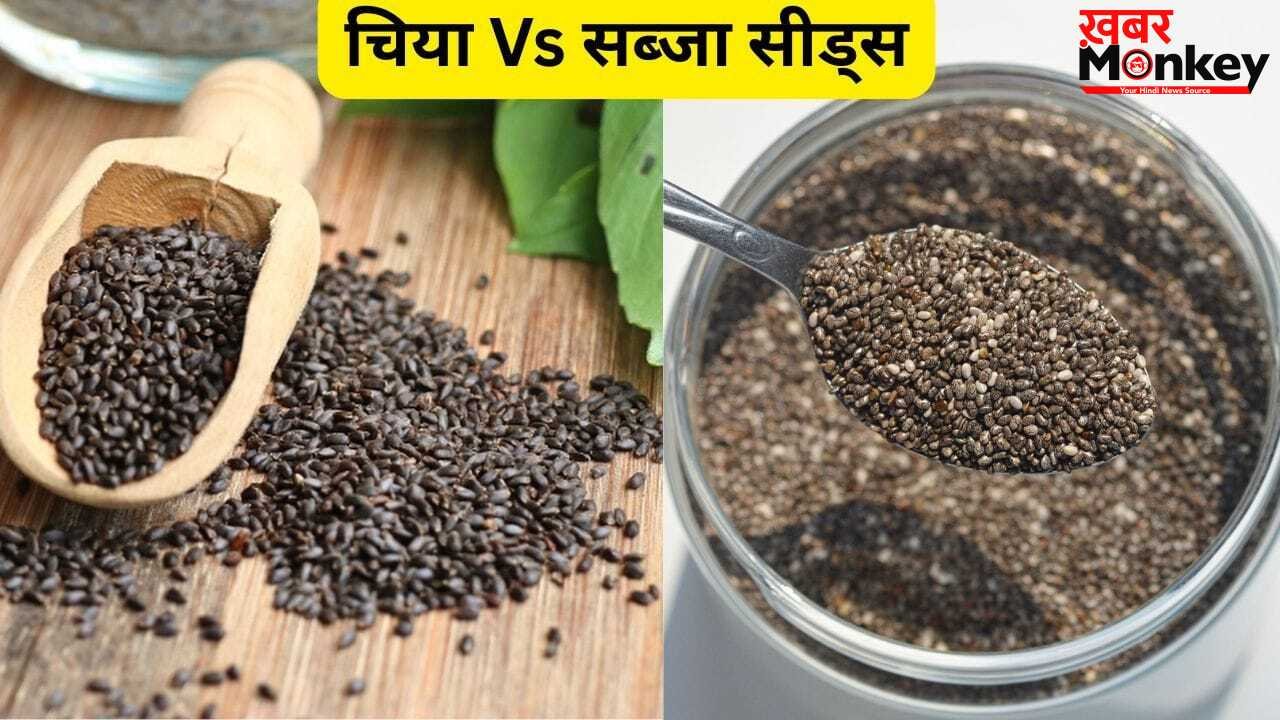 Chia Vs Sabja Seeds: सब्जा और चिया सीड्स में क्या है अंतर? एक्सपर्ट से जानें आपके लिए क्या है सही