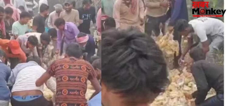 Viral Video: मरे हुए चिकन को लूटने के लिए सड़क पहुंची भीड़, नहीं देखी होगी मुर्गों की ऐसी लूट Viral Video: मरे हुए चिकन को लूटने के लिए सड़क पहुंची भीड़, नहीं देखी होगी मुर्गों की ऐसी लूट