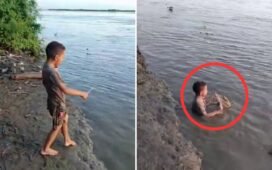 Viral Video: नदी में जाकर मगरमच्छ के दांत साफ करने लगा बच्चा, वीडियो देख दहल गए लोग