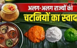 उत्तराखंड से राजस्थान तक…भारत के 16 राज्यों की चटनियों का चटखारा है कमाल