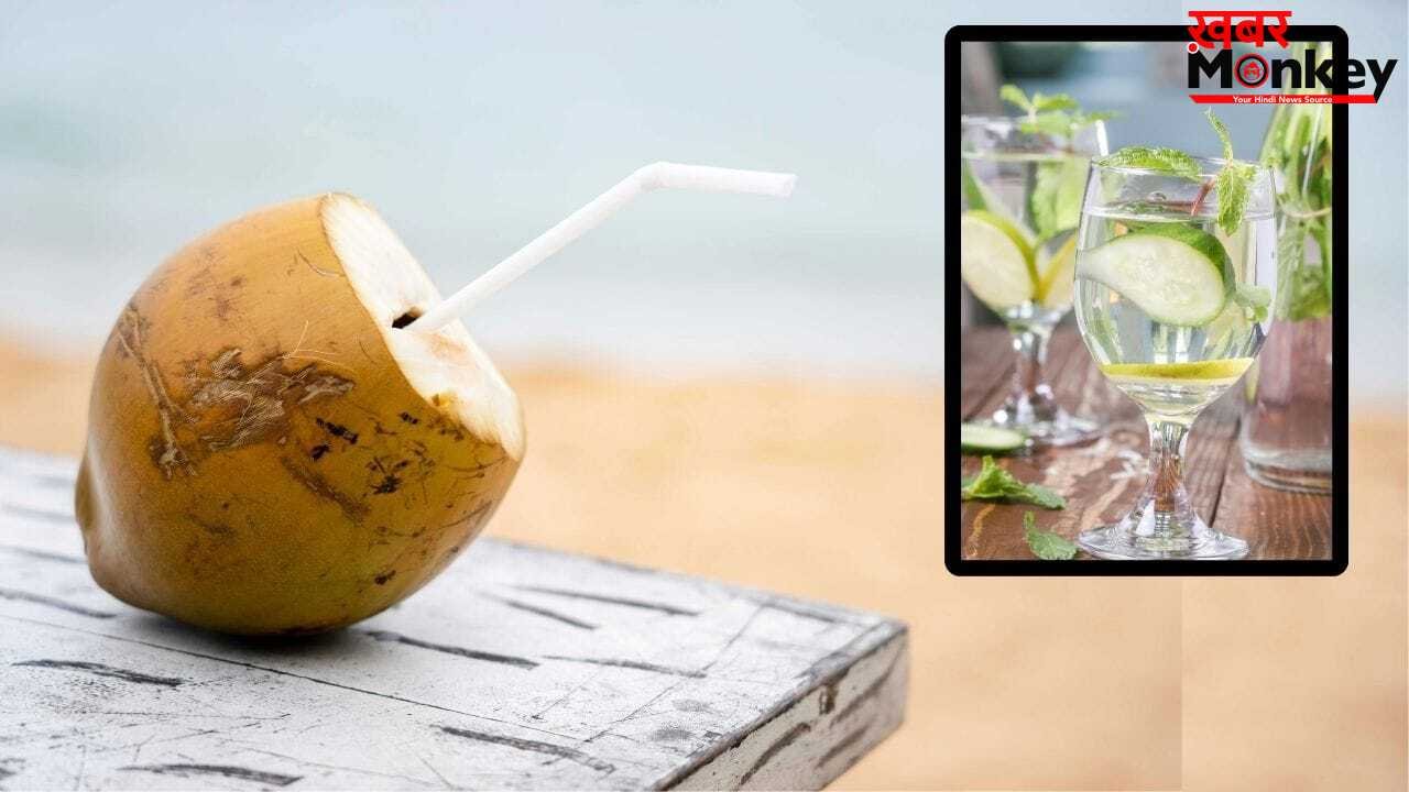 कोकोनट वाटर या खीरे का पानी… दोनों में किसे पीना ज्यादा फायदेमंद?