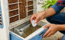 कूलर के गंदे पानी और बदबू से हैं परेशान? बस एक छोटा सा फिटकरी का टुकड़ा दूर कर देगा आपकी टेंशन