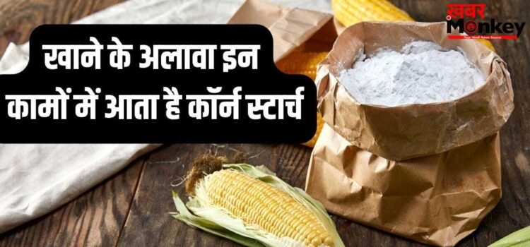 रसोई से लेकर कपड़े धोने तक…आपके इतने काम आ सकता है कॉर्न स्टार्च