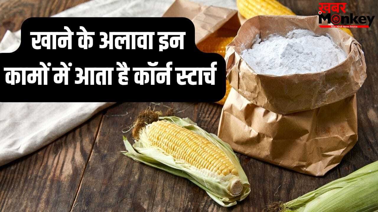 रसोई से लेकर कपड़े धोने तक…आपके इतने काम आ सकता है कॉर्न स्टार्च