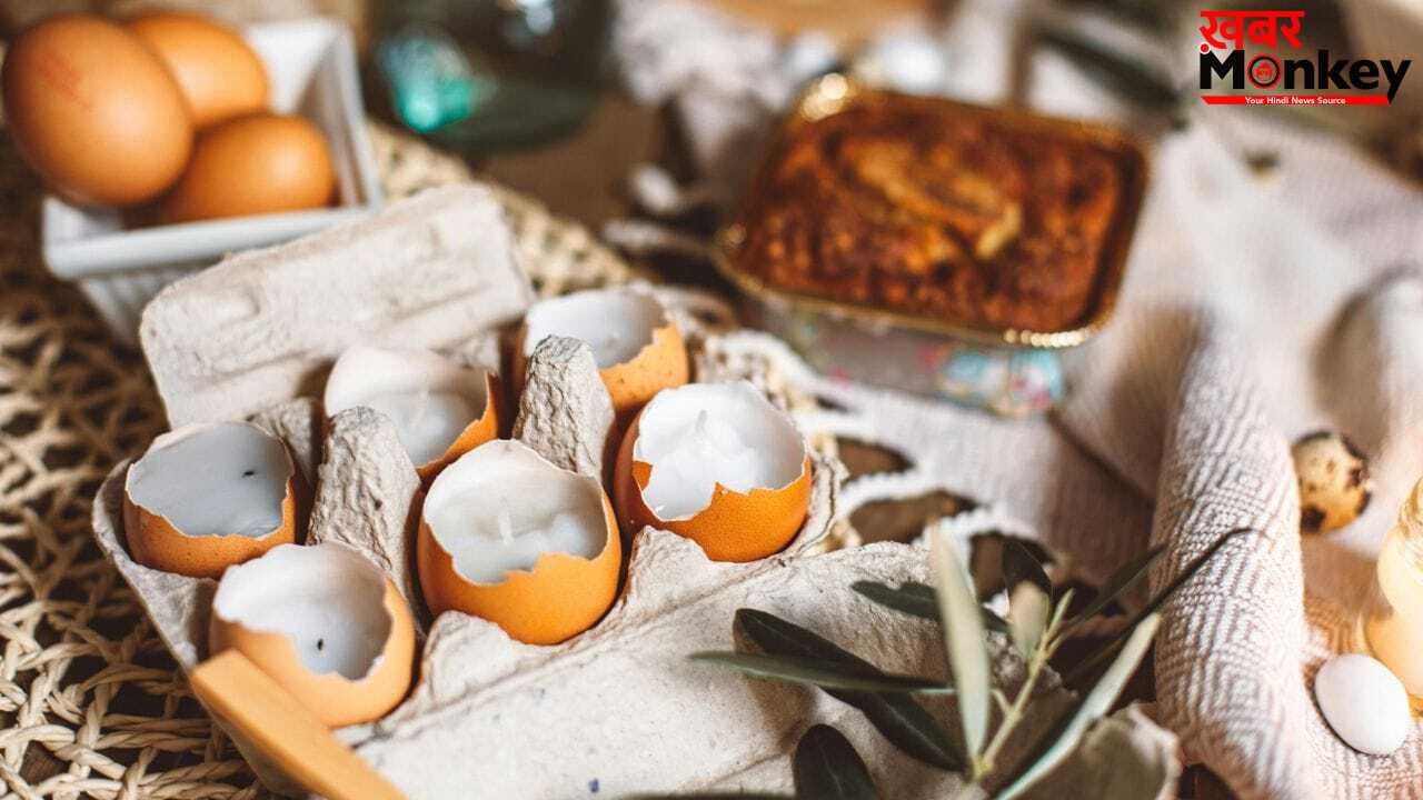 Eggshells Reuse Tips: बेकार समझकर न फेंके अंडे के छिलके, इन तरीकों से फिर से करें इनका यूज