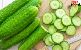 Cucumber Benefits: गर्मियों में क्यों सुपरफूड है खीरा? जानें फायदे, सही तरीका, पानी की मात्रा और नुकसान!