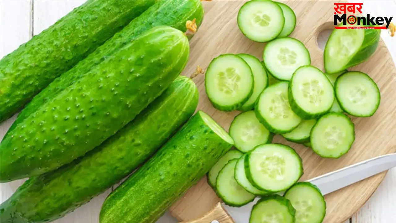 Cucumber Benefits: गर्मियों में क्यों सुपरफूड है खीरा? जानें फायदे, सही तरीका, पानी की मात्रा और नुकसान!