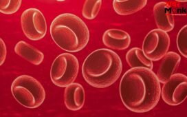 शरीर में आयरन बढ़ाने के लिए किन चीजों का करें सेवन?