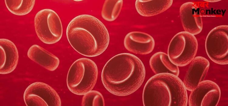 शरीर में आयरन बढ़ाने के लिए किन चीजों का करें सेवन?