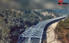 Delhi-Dehradun Expressway: ग्रीन वाइल्डलाइफ की बेहतरीन झलक, लंबे कॉरिडोर से जुड़ी हर जानकारी