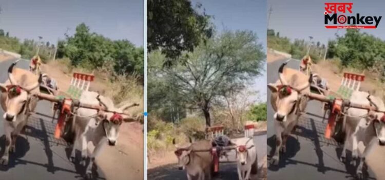 Viral Video: गांव में ऐसे काम करता है देसी टेस्ला, बिना GPS ऐसे चलती है गांव की ‘गाड़ी’