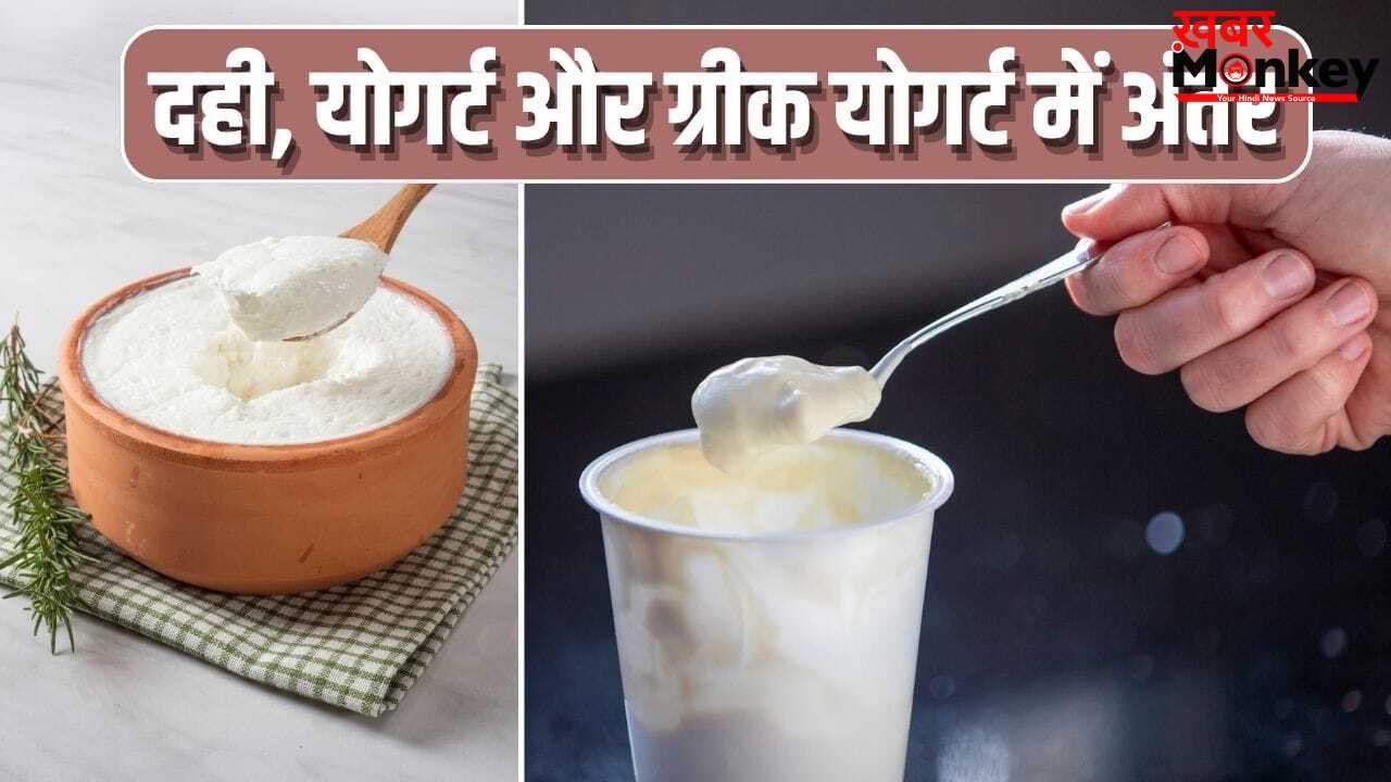 दही, योगर्ट और ग्रीक योगर्ट…आप भी तो नहीं समझते एक, जान लें क्या है अंतर